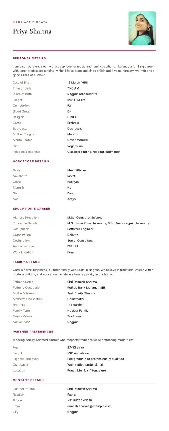 Modern Minimal biodata template